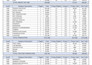 design professional excel dashboard